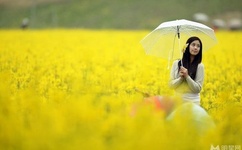 李玉超火箭军司令员被抓